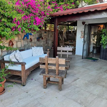 Villa Bodrum Ageon Thears Villa *