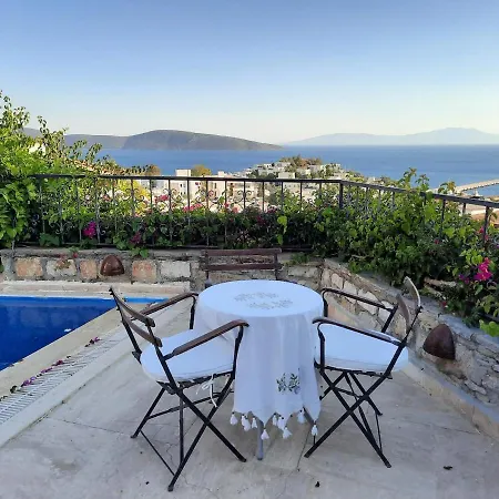 Villa Bodrum Ageon Thears Villa Bodrum