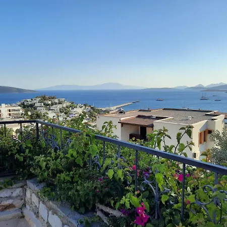 Bodrum Ageon Thears Villa Villa Bodrum